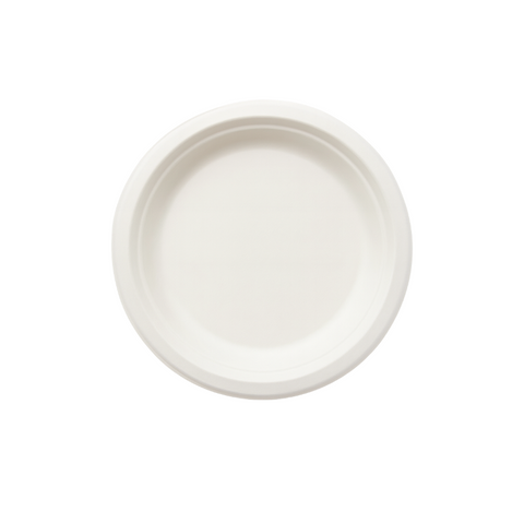 EcoFriendly Sugarcane Plate